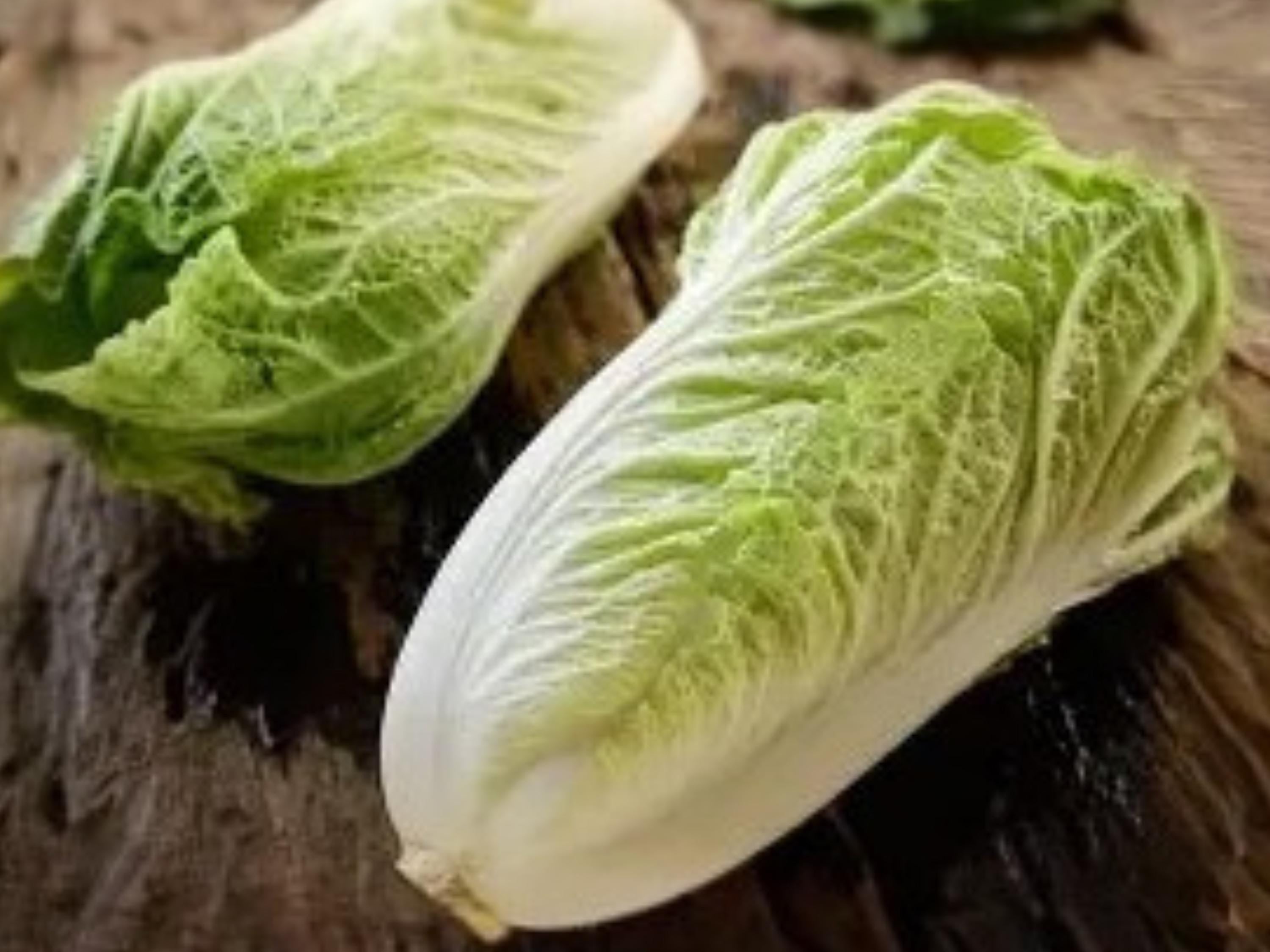 Kogane Chinese Cabbage Seeds - 500 Pack, Napa Asian Vegetable with Tender Pale Green Leaves and White Ribs