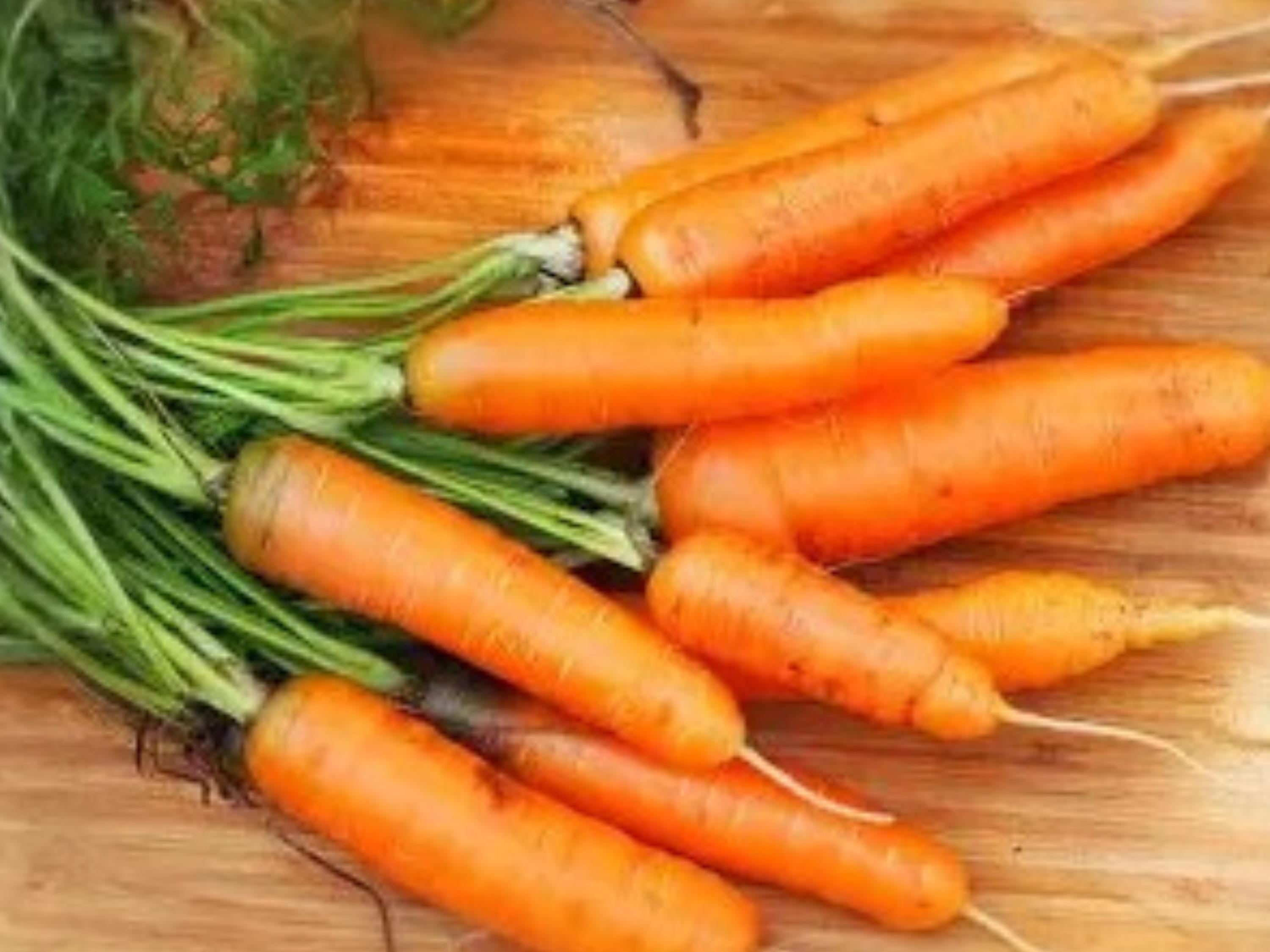 Scarlet Nantes Carrot Seeds | Heirloom Nantes Variety | Sweet Tender Roots | 500 Seeds for Home Garden