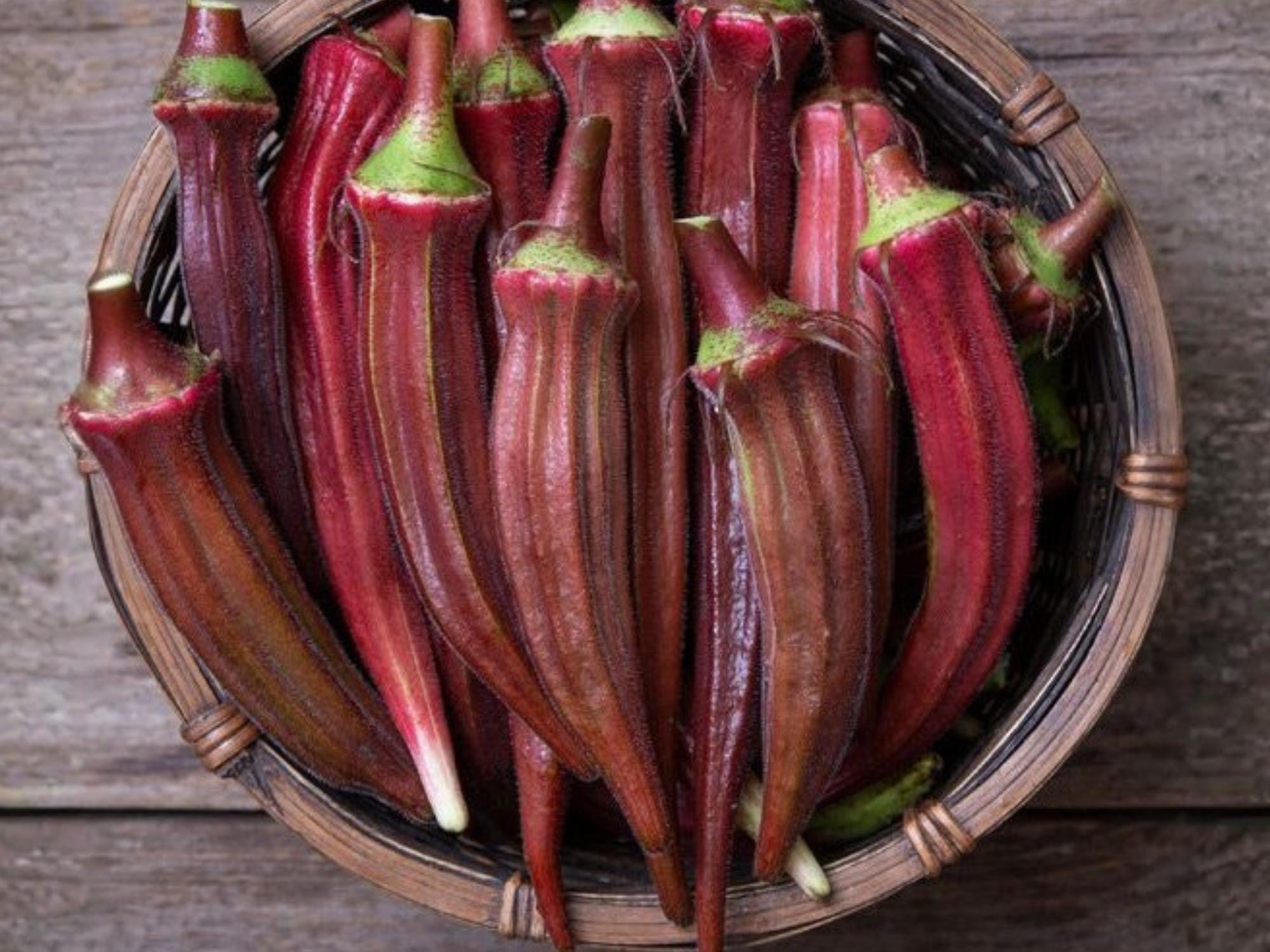 Red Burgundy Okra Seeds – Heirloom Vegetable, Heat Tolerant, Ornamental Edible Crop, 100 Seeds