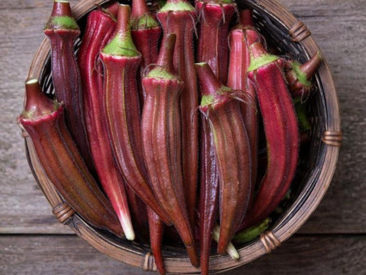 Red Burgundy Okra Seeds – Heirloom Vegetable, Heat Tolerant, Ornamental Edible Crop, 100 Seeds