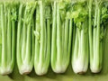 Tall Utah 52/70 Celery Seeds - Heirloom, Crunchy Stalks, Fresh Eating, Market Gardening