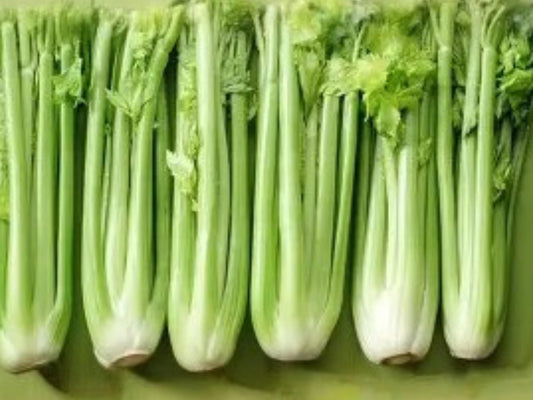 Tall Utah 52/70 Celery Seeds - Heirloom, Crunchy Stalks, Fresh Eating, Market Gardening