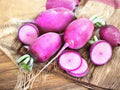 Triton Radish Seeds – Purple Stem, Heirloom, Non-GMO, Fast Growing, 100 Seeds