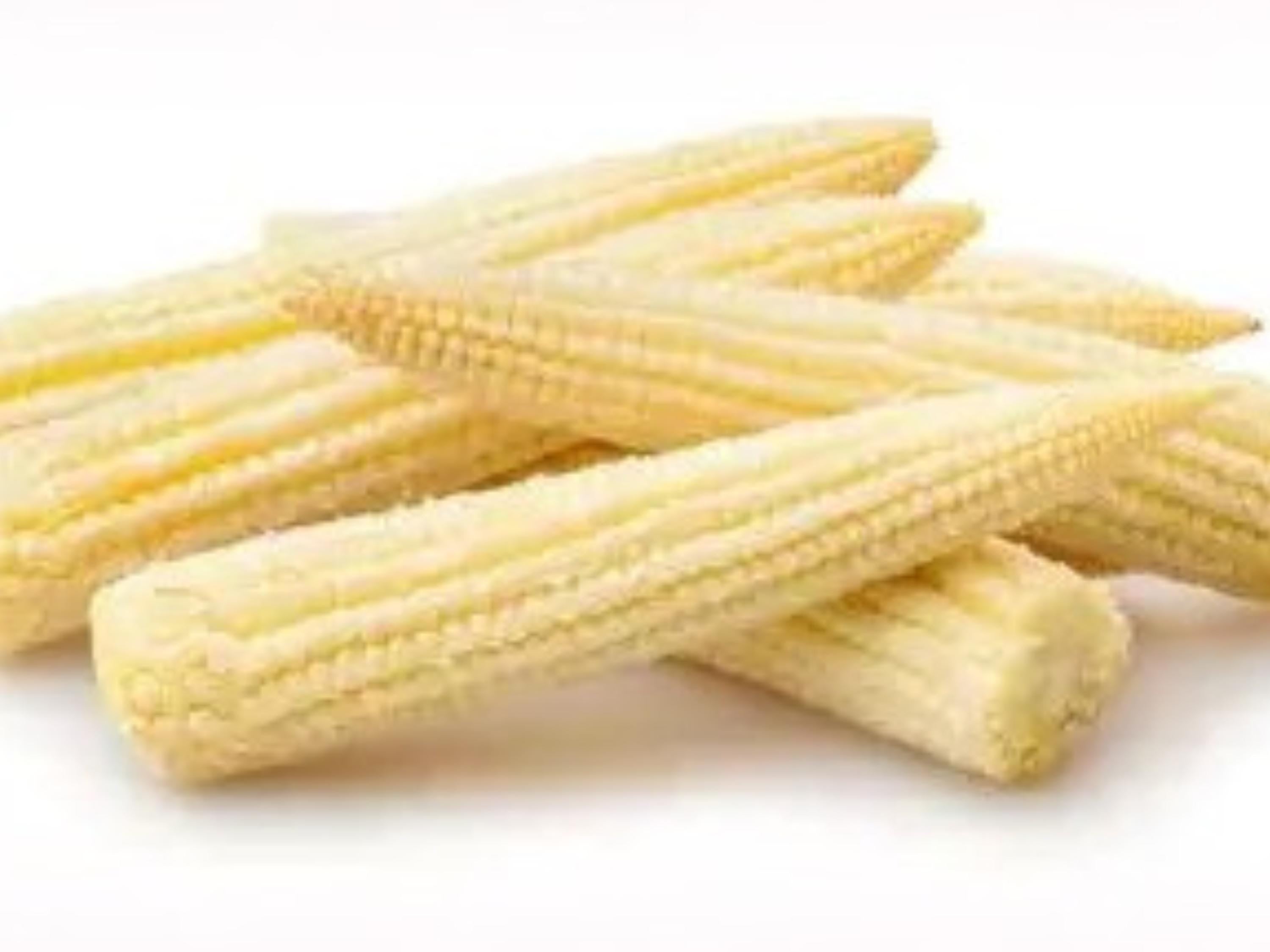 Japanese Hulless White Popcorn Seeds | Heirloom, Tender Hulls, Dual-Use Baby Corn or Popping | White Kernel, Open-Pollinated