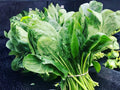 Bloomsdale Long Standing Spinach Seeds – Heirloom Non-GMO Savoy Leaf, Slow Bolting, Cool-Season Vegetable, 100 Seeds