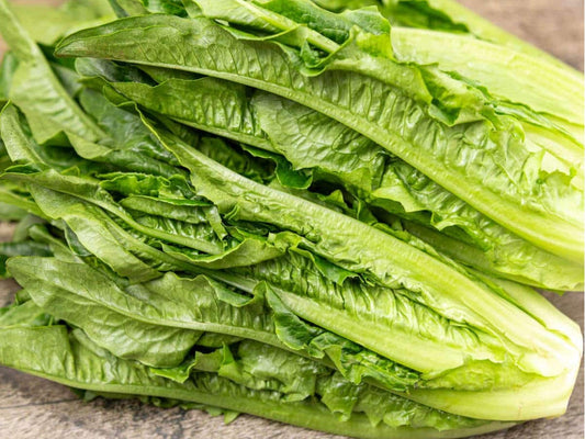 Asparagus Lettuce Seeds – Yu Mai Chinese Celtuce, Fast-Growing Asian Vegetable with Crisp Stems & Tender Leaves, 200 Non-GMO Seeds