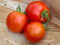 Legend Tomato Seeds – 30 Vegetable Seeds for Home Garden, Disease-Resistant, Determinate, Solanum lycopersicum