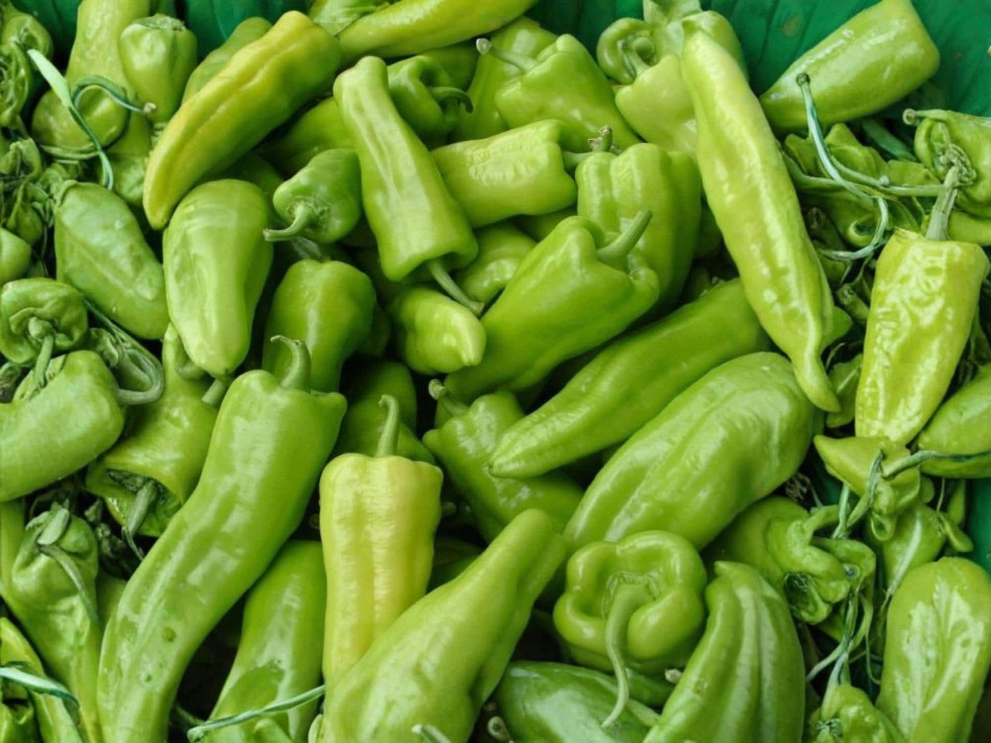 Cubanelle Sweet Pepper Seeds – Italian Frying Pepper, Mild Vegetable, Heirloom, 25 Seeds