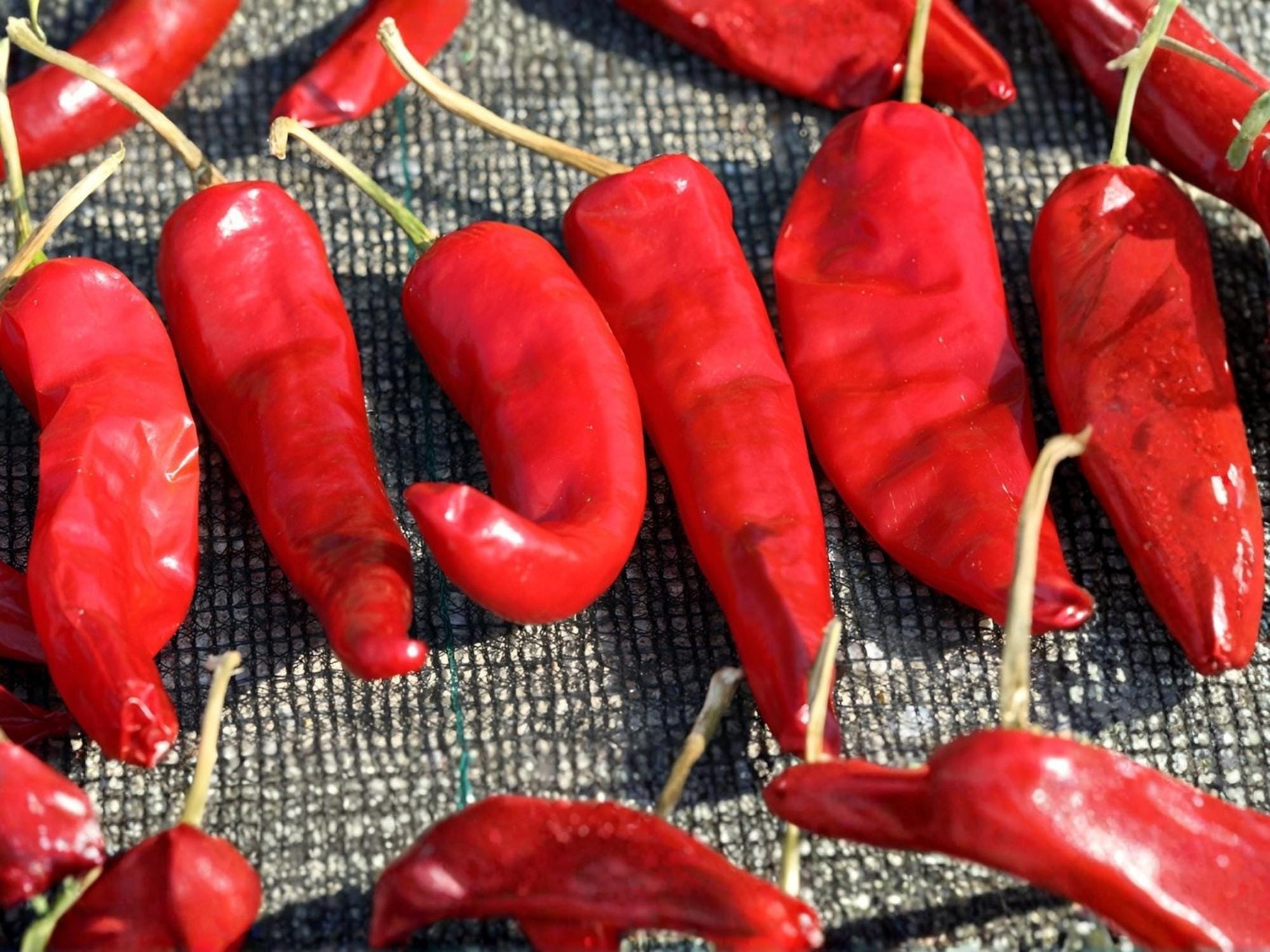 Hatch Rattlesnake Pepper Seeds – New Mexico Chile Hot Green Heirloom Vegetable – 25 Seeds