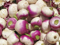 Purple Top White Globe Turnip Seeds – Heirloom Root Vegetable with Edible Greens, 500 Seeds for Spring & Fall Gardens