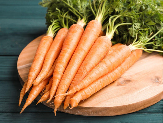 Tendersweet Carrot Seeds – 500 Non-GMO Heirloom, Coreless, Sweet, Crisp Roots | Daucus carota