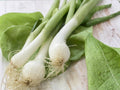 White Lisbon Bunching Onion Seeds – Heirloom Scallion Green Onion, Cool-Season Annual, 50 Seeds