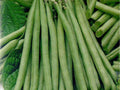 Petite Filet French Bean Seeds – 50 Heirloom Non-GMO Compact Bush Green Beans for Vegetable Gardens