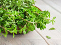 Sweet Marjoram Seeds | Culinary & Medicinal Herb | Origanum majorana | Easy to Grow Herb for Gardens & Containers