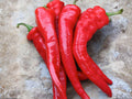 Honey Badger Manzano Pepper Seeds – Heirloom Rocoto Chili, Capsicum pubescens, 20 Premium Seeds for Pots, Containers & Garden