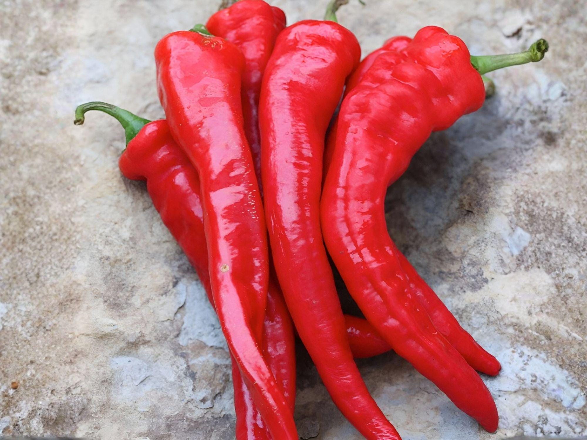 Honey Badger Manzano Pepper Seeds – Heirloom Rocoto Chili, Capsicum pubescens, 20 Premium Seeds for Pots, Containers & Garden