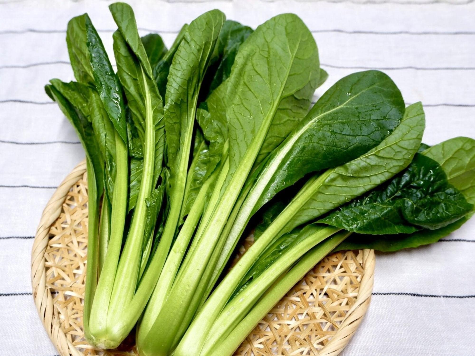Komatsuna Tendergreen Mustard Spinach Seeds – Fast-Growing Asian Leafy Green, 500 Non-GMO Seeds