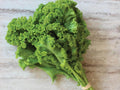 Southern Giant Curled Mustard Seeds – Heirloom Green Leafy Vegetable, 500 Seeds, Non-GMO, Fast-Growing, Cool Weather Crop
