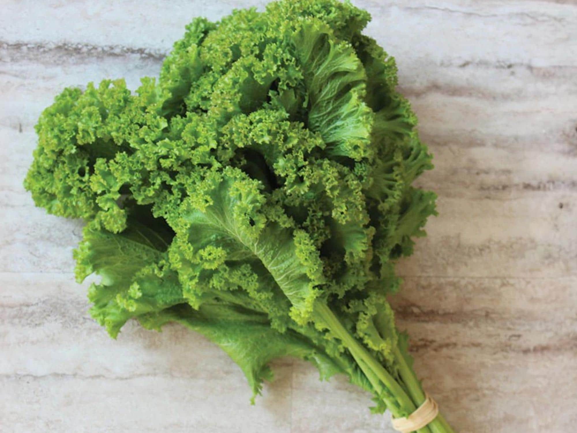 Southern Giant Curled Mustard Seeds – Heirloom Green Leafy Vegetable, 500 Seeds, Non-GMO, Fast-Growing, Cool Weather Crop