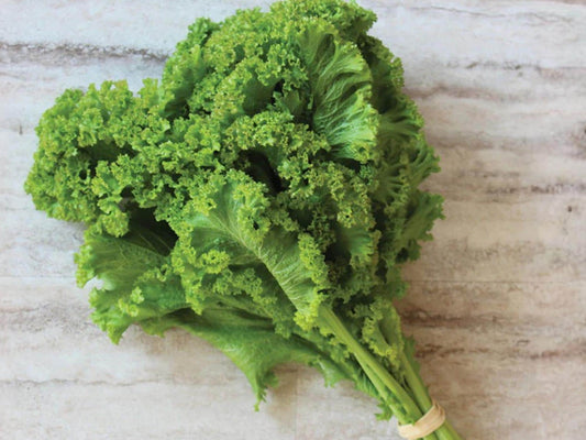 Southern Giant Curled Mustard Seeds – Heirloom Green Leafy Vegetable, 500 Seeds, Non-GMO, Fast-Growing, Cool Weather Crop