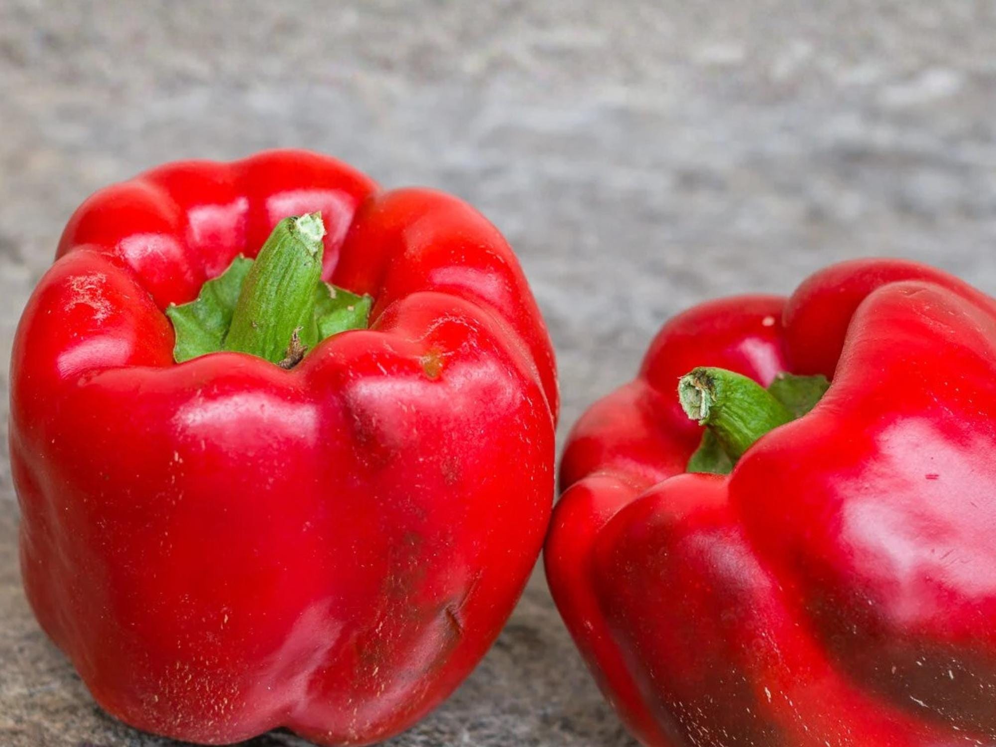 Sweet Pepper Yolo Wonder Bell Improved Seeds – Heirloom, Non-GMO, High Yield, 25 Seeds, Bell Pepper, Vegetable Garden, Fresh Cooking