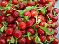 Large Cherry Hot Pepper Seeds – Heirloom, Non-GMO, Spicy Red Cherry Chili Vegetable, 25 Seeds
