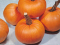 Small Sugar Pumpkin Seeds – Heirloom Non-GMO Pie Pumpkin Variety for Baking & Cooking, 10 Seeds