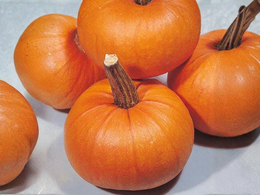 Small Sugar Pumpkin Seeds – Heirloom Non-GMO Pie Pumpkin Variety for Baking & Cooking, 10 Seeds