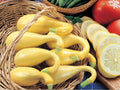 Early Summer Crookneck Squash Seeds – Heirloom, Non-GMO, Bright Yellow, Summer Vegetable, Curved Neck, 10 Seeds