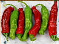 Shishito Oriental Japanese Hot Pepper Seeds – Mild Heat Heirloom Vegetable – 25 Seeds for Container & Garden Growing