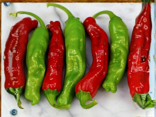 Shishito Oriental Japanese Hot Pepper Seeds – Mild Heat Heirloom Vegetable – 25 Seeds for Container & Garden Growing