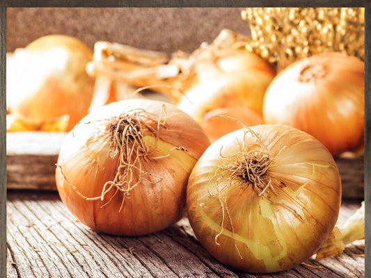 Walla Walla Sweet Onion Seeds – Large Bulb, Mild Flavor, Heirloom Vegetable Garden, Yellow Bulb, Cool-Season Biennial, 50 Seeds