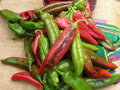 Ms. Junie Super Hot Pepper Seeds – Rare Caribbean Chili, Heirloom, Fruity, Extremely Hot, 50 Seeds
