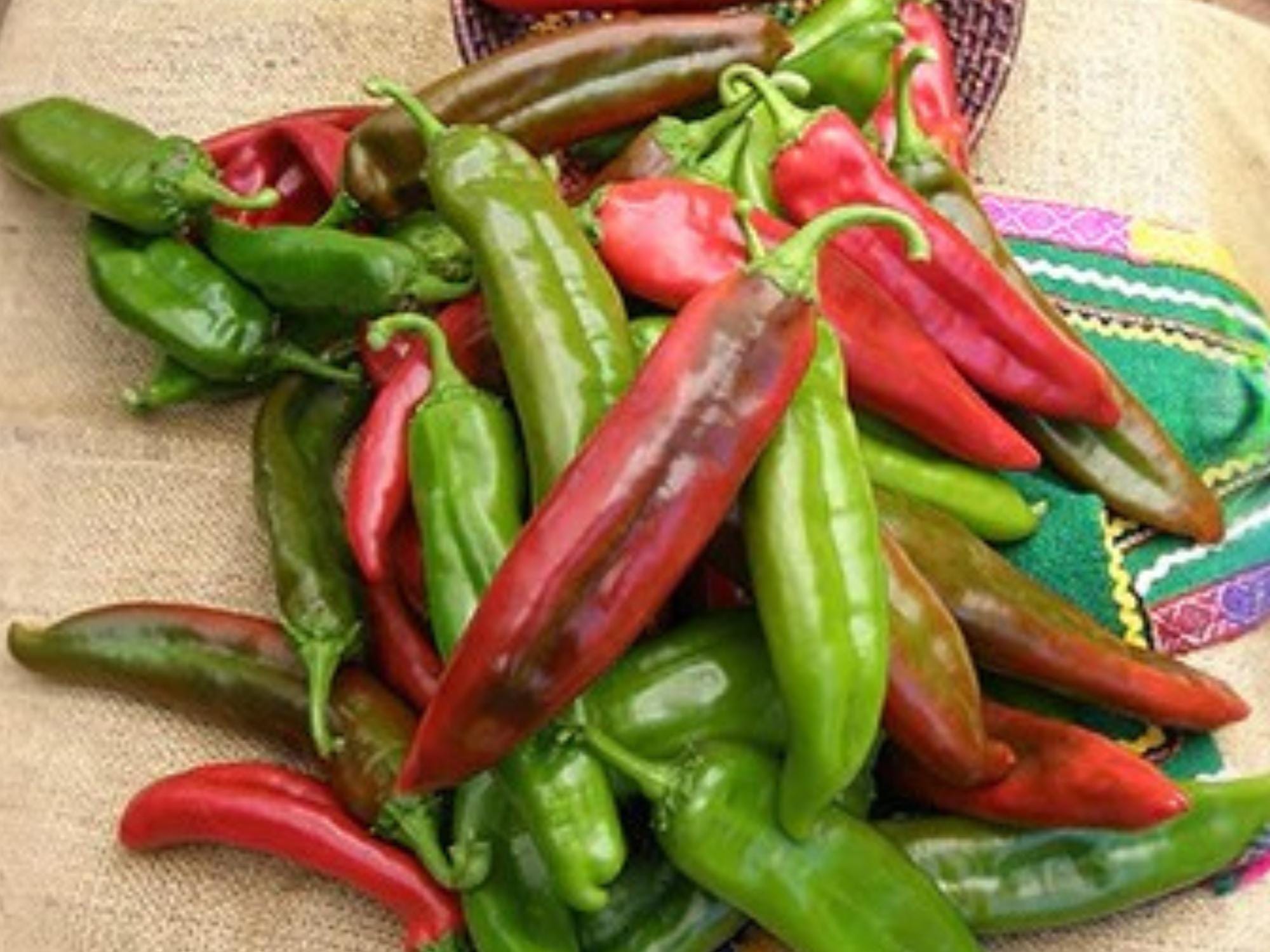 Ms. Junie Super Hot Pepper Seeds – Rare Caribbean Chili, Heirloom, Fruity, Extremely Hot, 50 Seeds
