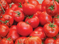 Floradel Tomato Seeds – Heat Tolerant Slicing Heirloom Vegetable – 30 Seeds for Warm Climate Gardens