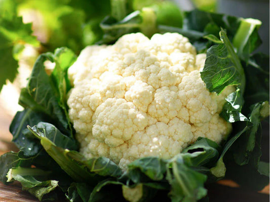 Snowball Y Cauliflower Seeds – 250 Non-GMO Heirloom, Early, Compact, White Heads, Cool-Season Vegetable Seeds