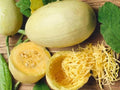 Spaghetti Squash Seeds – Winter Vegetable, Heirloom Garden, Stringy Flesh, 10 Seeds