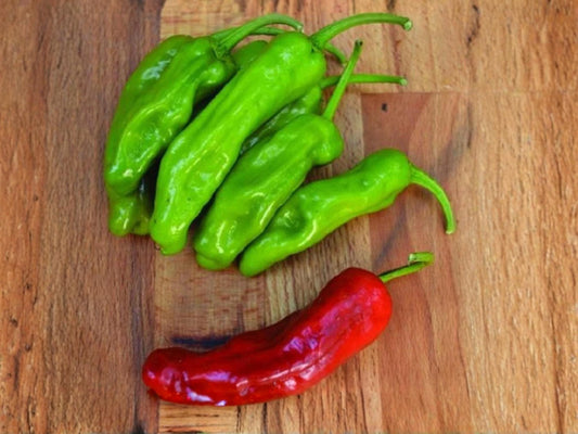 Pepperoncini Italian Sweet Pepper Seeds – Mild Tapered Heirloom Vegetable for Pickling & Fresh Use, 25 Seeds