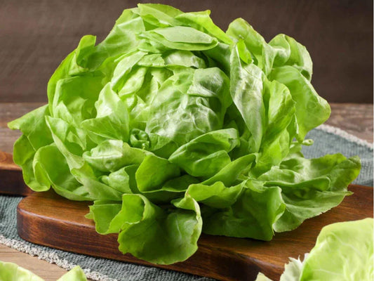 Bibb Butterhead Lettuce Seeds – Heirloom, Non-GMO, Compact Garden Variety, Lactuca sativa, 1000 Seeds