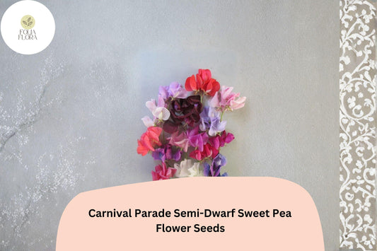 Carnival Parade Semi-Dwarf Sweet Pea Seeds | Multi-Color Climbing Flower for Garden & Trellis | Lathyrus odoratus