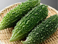 Futo Spindle Bitter Melon Seeds – Asian Gourd with Tapered Fruits, Non-GMO, Momordica charantia