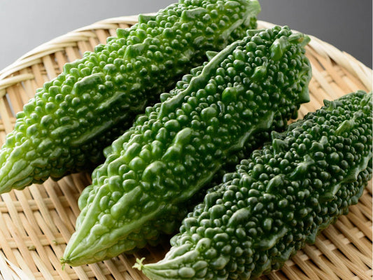 Futo Spindle Bitter Melon Seeds – Asian Gourd with Tapered Fruits, Non-GMO, Momordica charantia