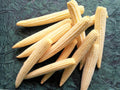 Teasel Seeds 30 Dipsacus sativus Fuller's Teasel Biennial Ornamental Plant for Gardens & Pollinators