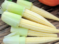 Japanese Hulless White Popcorn Seeds – Non-GMO, Tender, Nearly Hull-Free, White Baby Corn, Gourmet Popping Variety, 50 Seeds