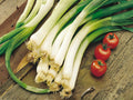 Evergreen Bunching Onion Seeds – Heirloom Scallion, Green Vegetable, Hardy Perennial, 50 Seeds
