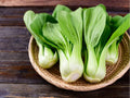 Dwarf Pak Choi Seeds | Baby Bok Choy Asian Green | Non-GMO Brassica rapa subsp. chinensis for Container & Garden Planting