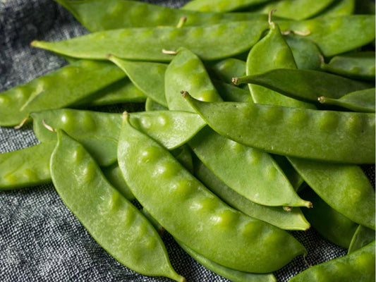 Dwarf Sugar Grey Snow Pea Seeds – Edible Pod, Non-GMO, Compact Garden Variety (50 Seeds)