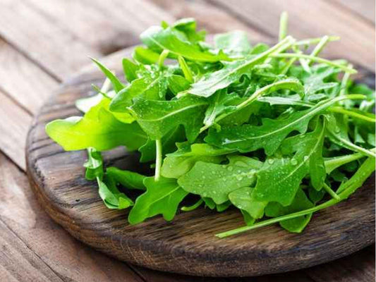 Arugula Herb Seeds – 500 Non-GMO Heirloom Fast-Growing Leafy Green (Eruca vesicaria)