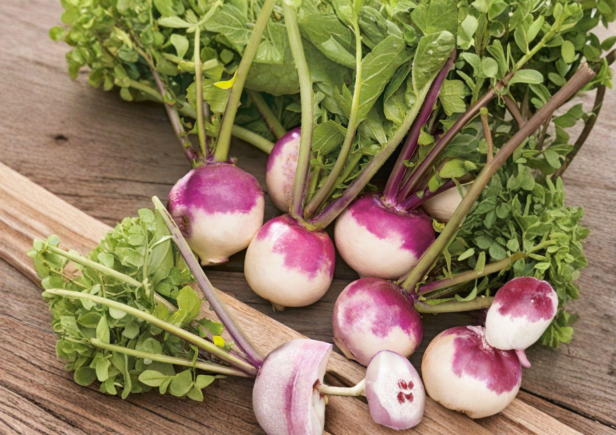 Purple Top White Globe Turnip Seeds – Heirloom Root Vegetable, Cool Season Crop, 500 Seeds