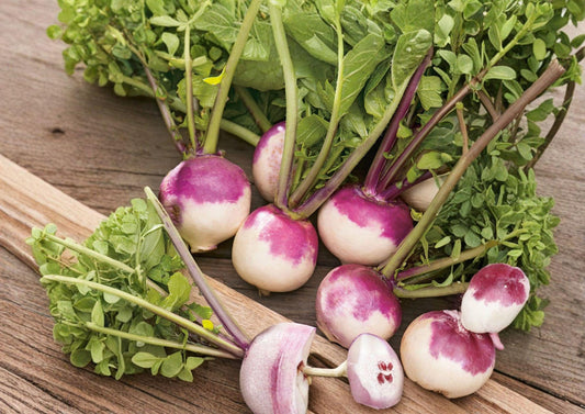 Purple Top White Globe Turnip Seeds – Heirloom Root Vegetable, Cool Season Crop, 500 Seeds
